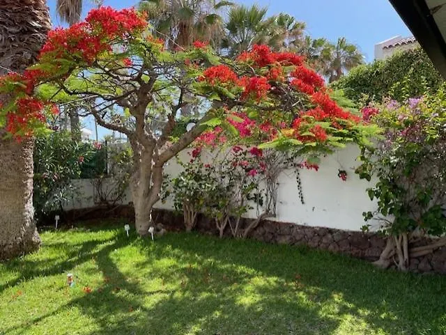 Parque Santiago 1- 2Bed Apartment Playa de las Americas  0*, Playa de las Americas (Tenerife) Spain